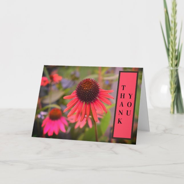 Red Cone Flowers Echinacea Thank You Card (Front)
