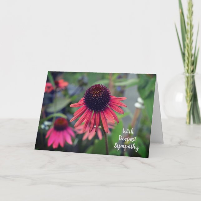 Red Cone Flowers Echinacea With Sympathy Card (Front)