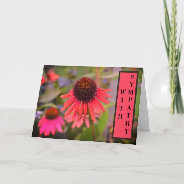 Red Cone Flowers Echinacea With Sympathy Card (Front)
