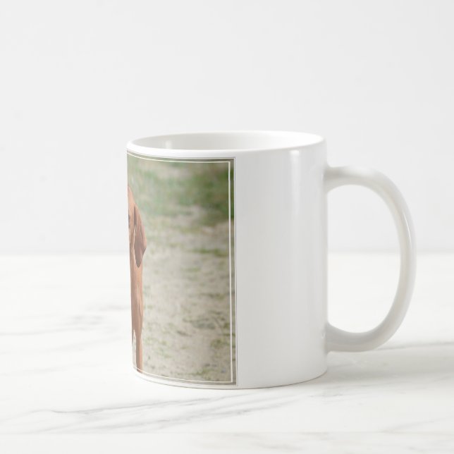Red Coonhound Coffee Mug (Right)