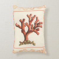 Red Coral with Conch Shell Border