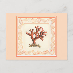 Red Coral with Conch Shell Border Postcard