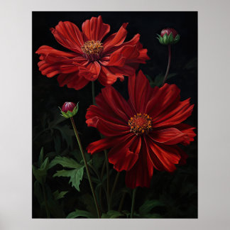 Red Cosmos Flowers Art Print Poster