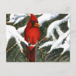 "Red" Country Roads Postcard