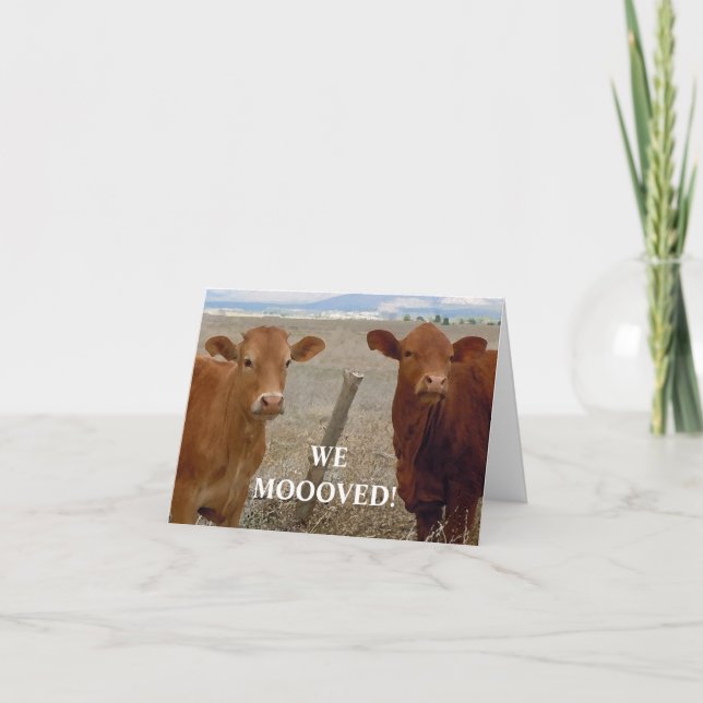 Red Cows - Western Change of Address Announcement (Front)