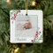 Red Cranberry Foliage Baby's First Christmas Photo
