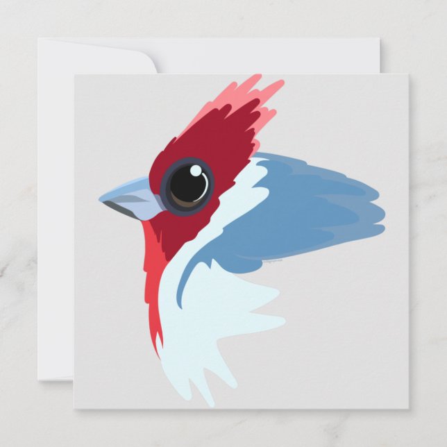 Red-Crested Cardinal Bird   Card (Front)