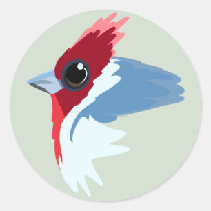 Red-Crested Cardinal Bird Classic Round Sticker