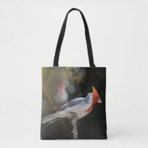 Red-Crested Cardinal Bird