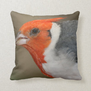 Red Crested Cardinal Cushion