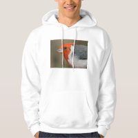 Red Crested Cardinal