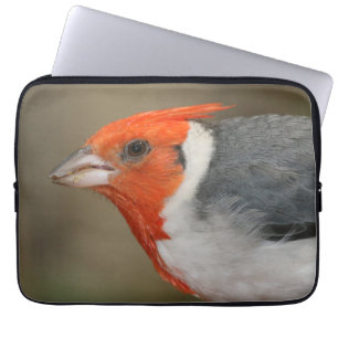 Red Crested Cardinal Laptop Sleeve