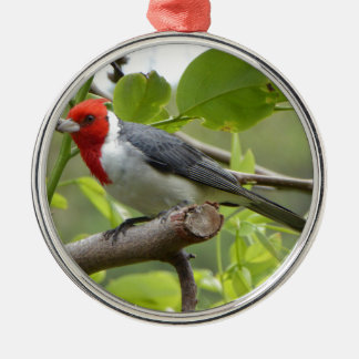 Red-crested Cardinal Metal Tree Decoration