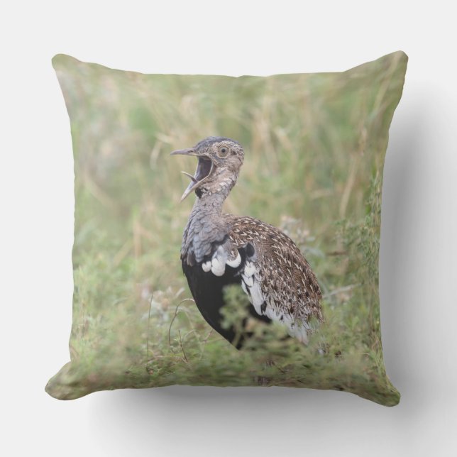 Red Crested Korhaan Cushion (Front)