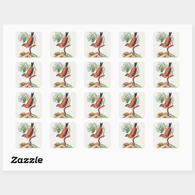 Red Crossbill Bird Square Sticker (Sheet)
