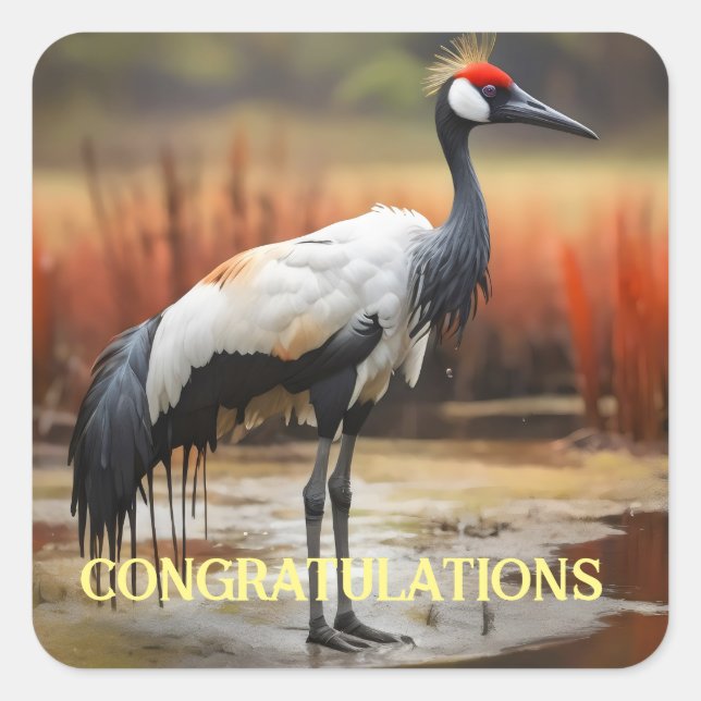 Red Crowned crane standing on water Square Sticker (Front)