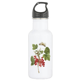 red currant(Ribes rubrum) by Redouté 532 Ml Water Bottle