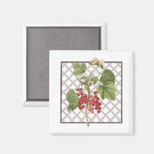 RED CURRANTS MAGNET