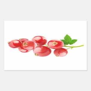 Red currants rectangular sticker