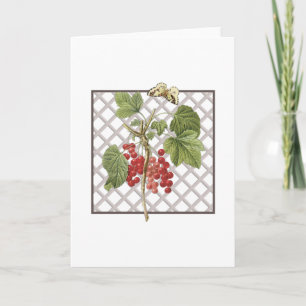 RED CURRANTS THANK YOU CARD