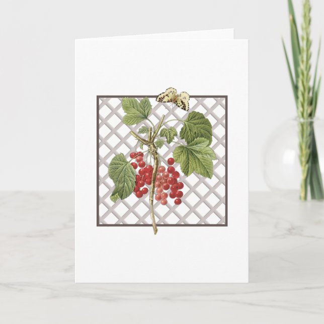 RED CURRANTS THANK YOU CARD (Front)