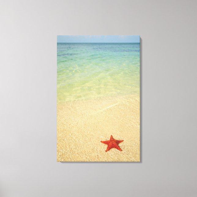 Red Cushion Sea Star | Trinidad, Cuba Canvas Print (Front)