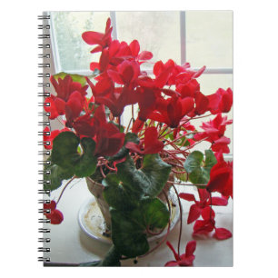 Red Cyclamen Flowers Notebook
