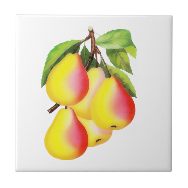 Red D’Anjou Pears - vintage illustration Tile (Front)