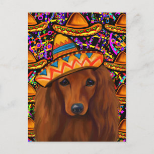 RED DACHSHUND            POSTCARD