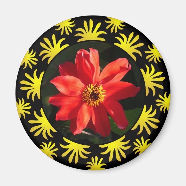 Red Dahlia (Bishop of Llandaff) - v2 Magnet (Front)