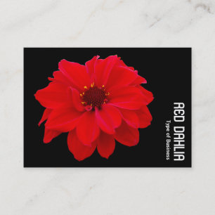 Red Dahlia - Black Business Card