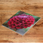 Red Dahlia Bloom Floral Ceramic Tile<br><div class="desc">Ceramic tile that features the photo image of a red Dahlia bloom. A lovely,  floral design! Select your tile size. Makes a great kitchen trivet!</div>