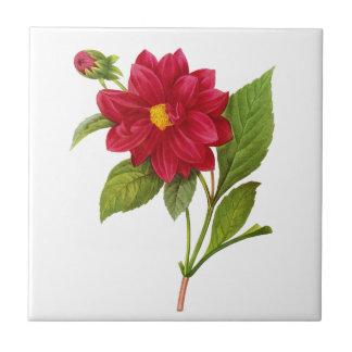 Red Dahlia by Pierre Joseph Redoute Tile