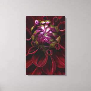 Red Dahlia Canvas Print