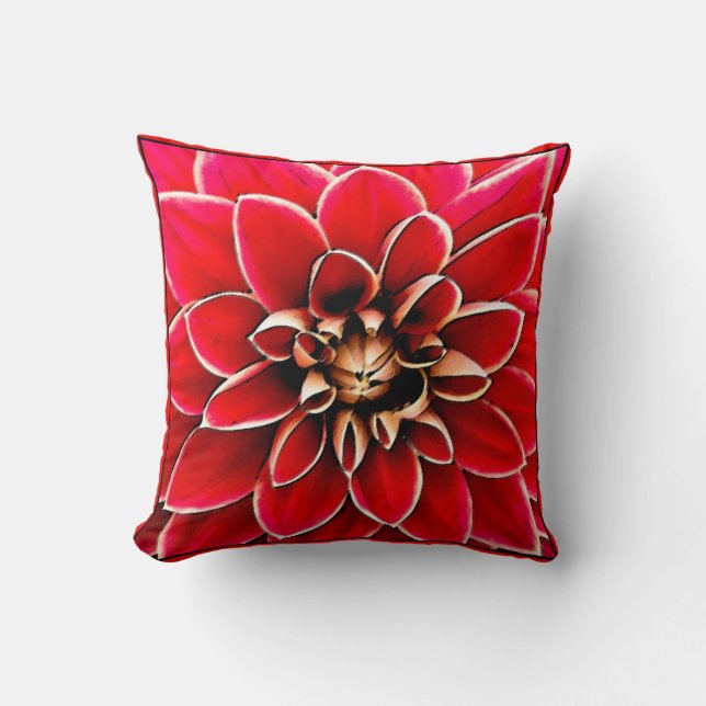 Red Dahlia, digital art Cushion (Front)