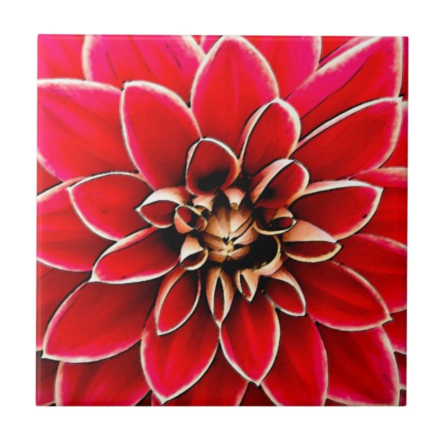 Red Dahlia, digital art Tile (Front)