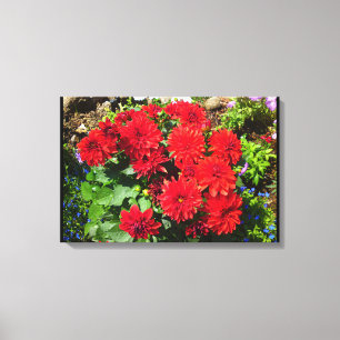 Red Dahlia Flower Canvas