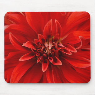 Red dahlia flower mouse pad