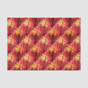 Red Dahlia Flower Nature Pattern Tissue Paper