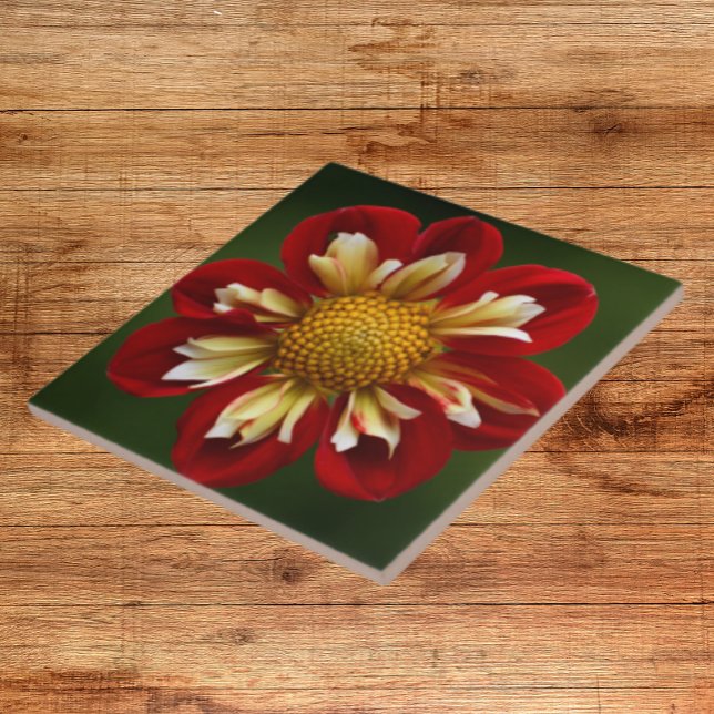 Red Dahlia on Green Floral Tile (In Situ)