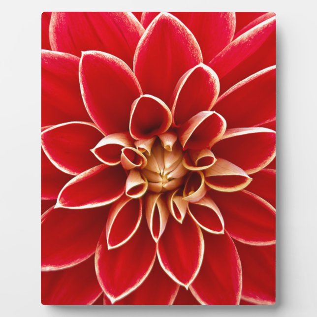 Red Dahlia Plaque (Front)