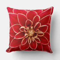Red Dahlia with Yellow Tips