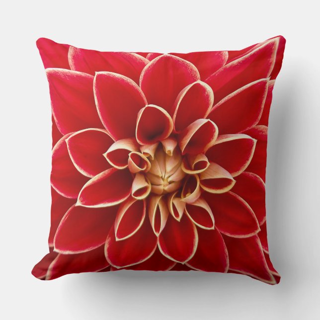 Red Dahlia with Yellow Tips Cushion (Front)