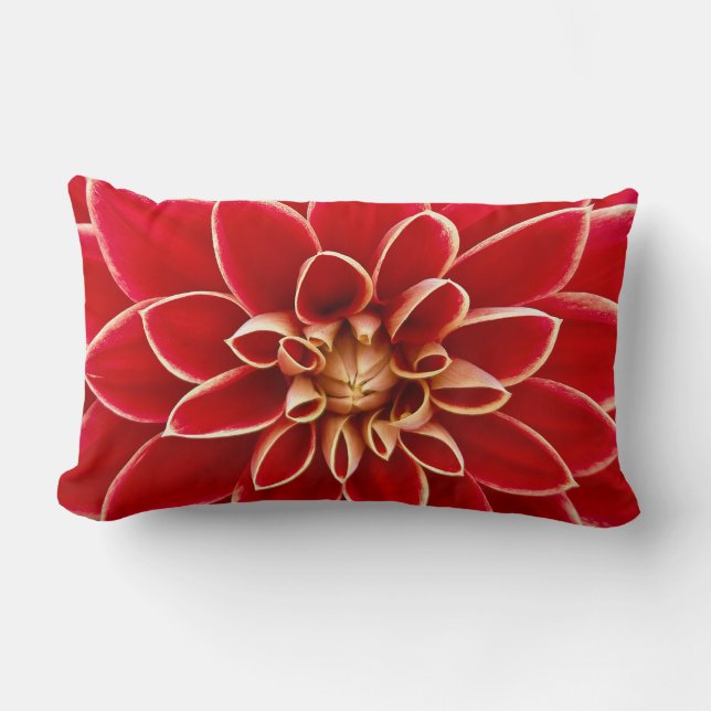Red Dahlia with Yellow Tips  Lumbar Cushion (Front)