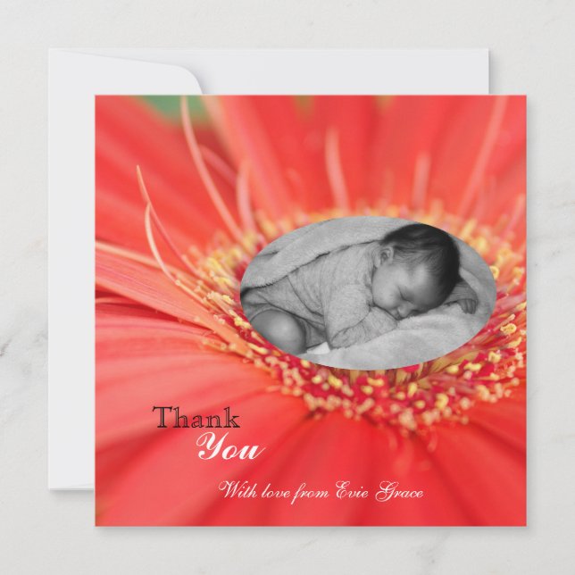 Red Daisy Flower Child Thank You Baby Announcement (Front)