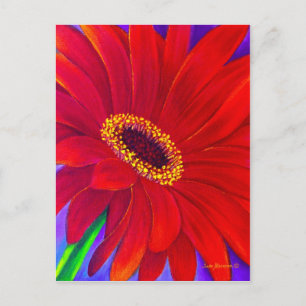 Red Daisy Gerber Flower Painting Art - Multi Postcard