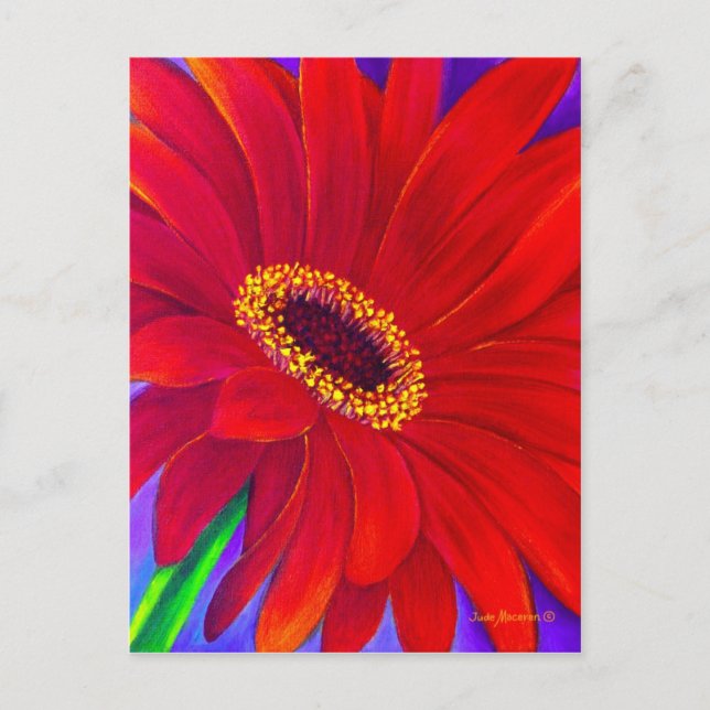 Red Daisy Gerber Flower Painting Art - Multi Postcard (Front)