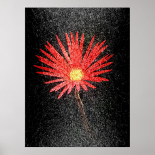 Red Daisy on black background   Abstract Art Poster
