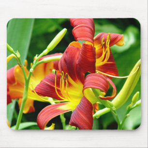 Red Daylilies Mousepad