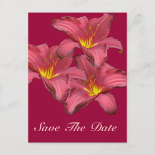 Red Daylily Coordinating Items Announcement Postcard